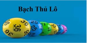 bạch thủ lô đặc biệt