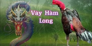 Vảy hàm long