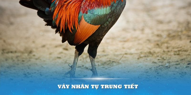 Vận xui mà vảy nhân tự trung tiết mang đến gây ra rất nhiều lo ngại cho người chơi